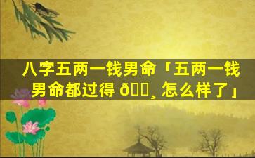 八字五两一钱男命「五两一钱男命都过得 🌸 怎么样了」